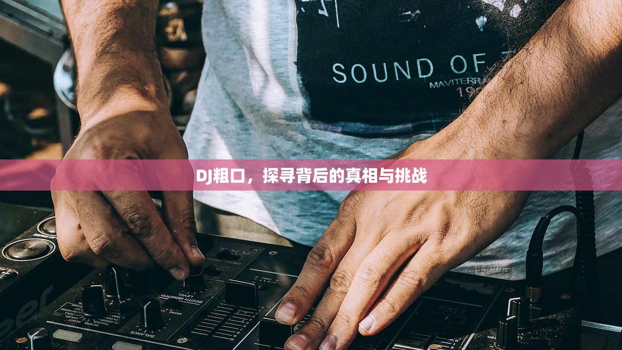 DJ粗口，探寻背后的真相与挑战