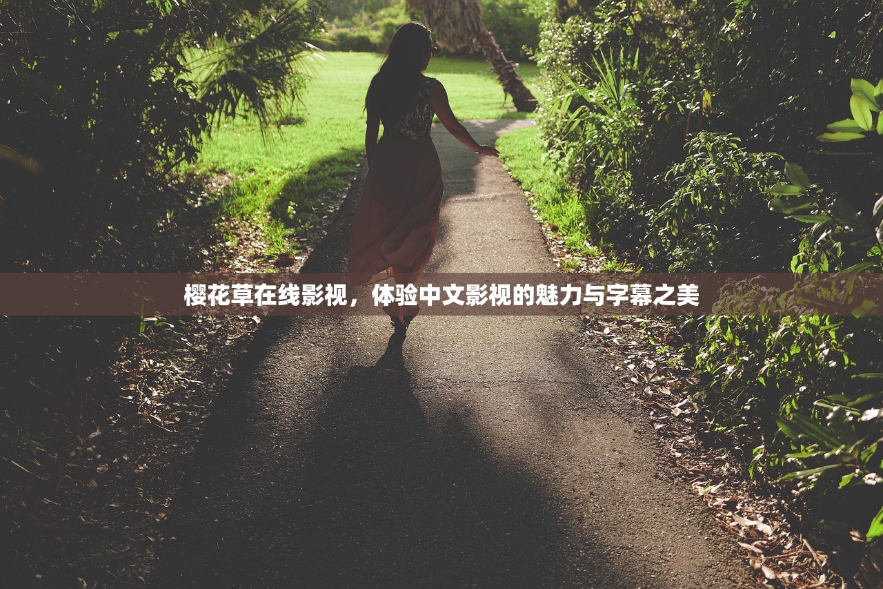 樱花草在线影视，体验中文影视的魅力与字幕之美