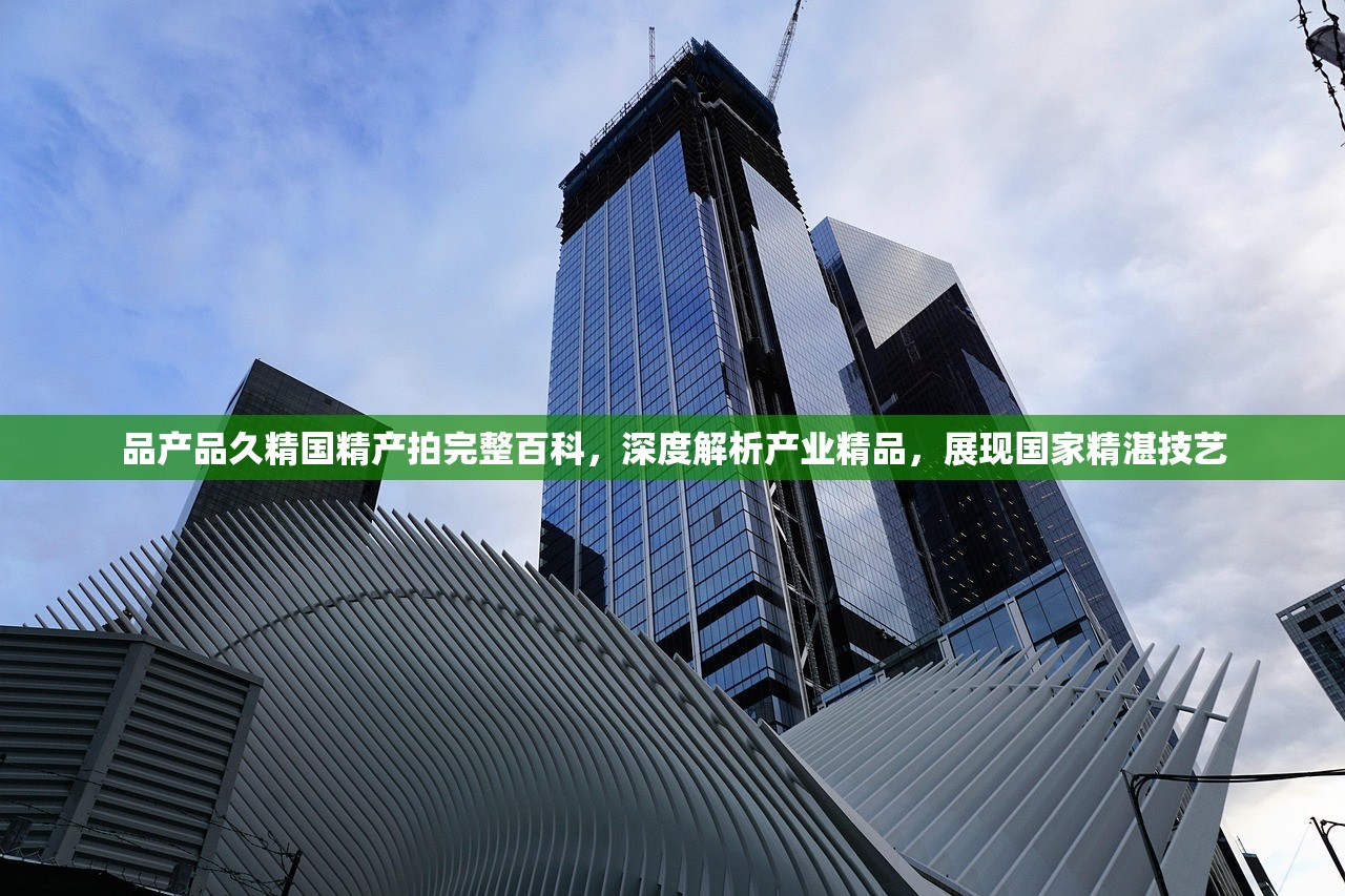 品产品久精国精产拍完整百科，深度解析产业精品，展现国家精湛技艺