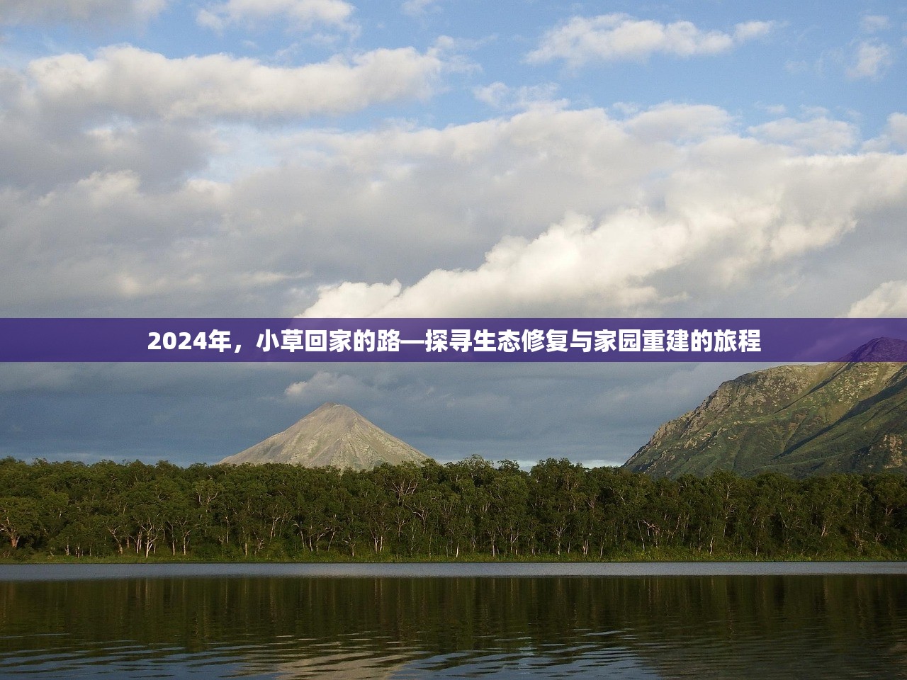 2024年，小草回家的路—探寻生态修复与家园重建的旅程