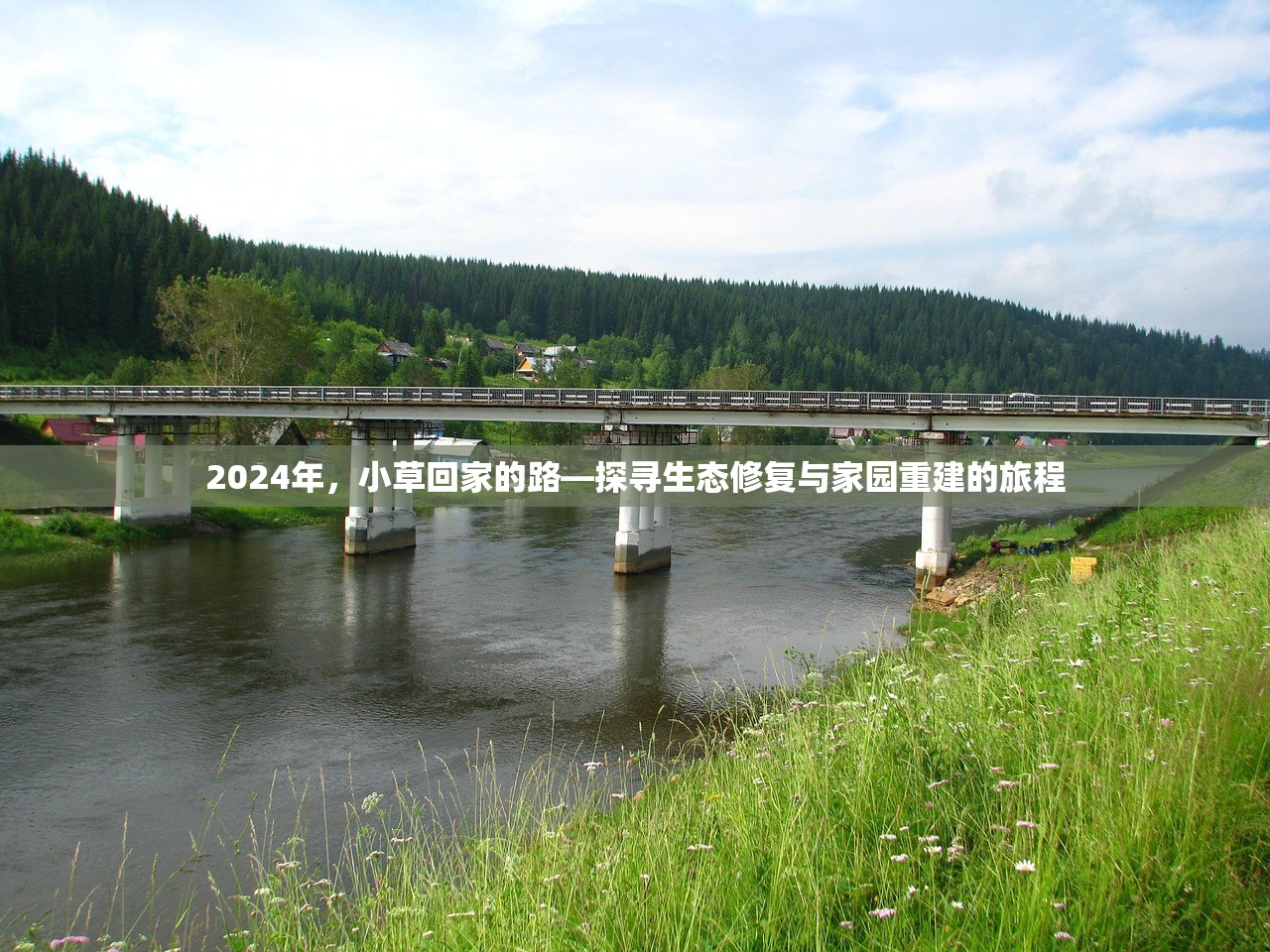 2024年，小草回家的路—探寻生态修复与家园重建的旅程