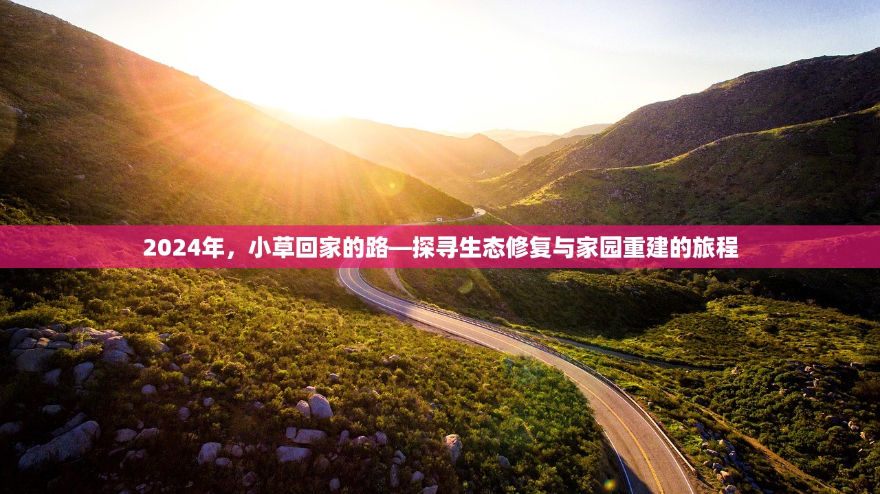 2024年，小草回家的路—探寻生态修复与家园重建的旅程