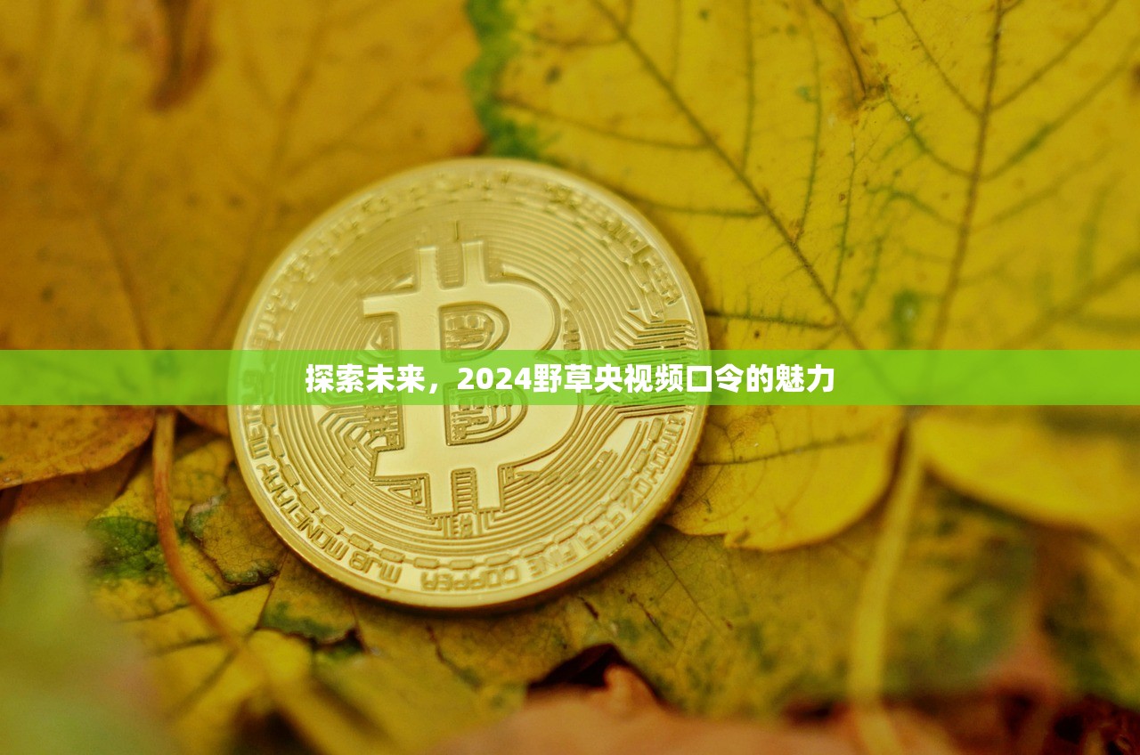 探索未来，2024野草央视频口令的魅力