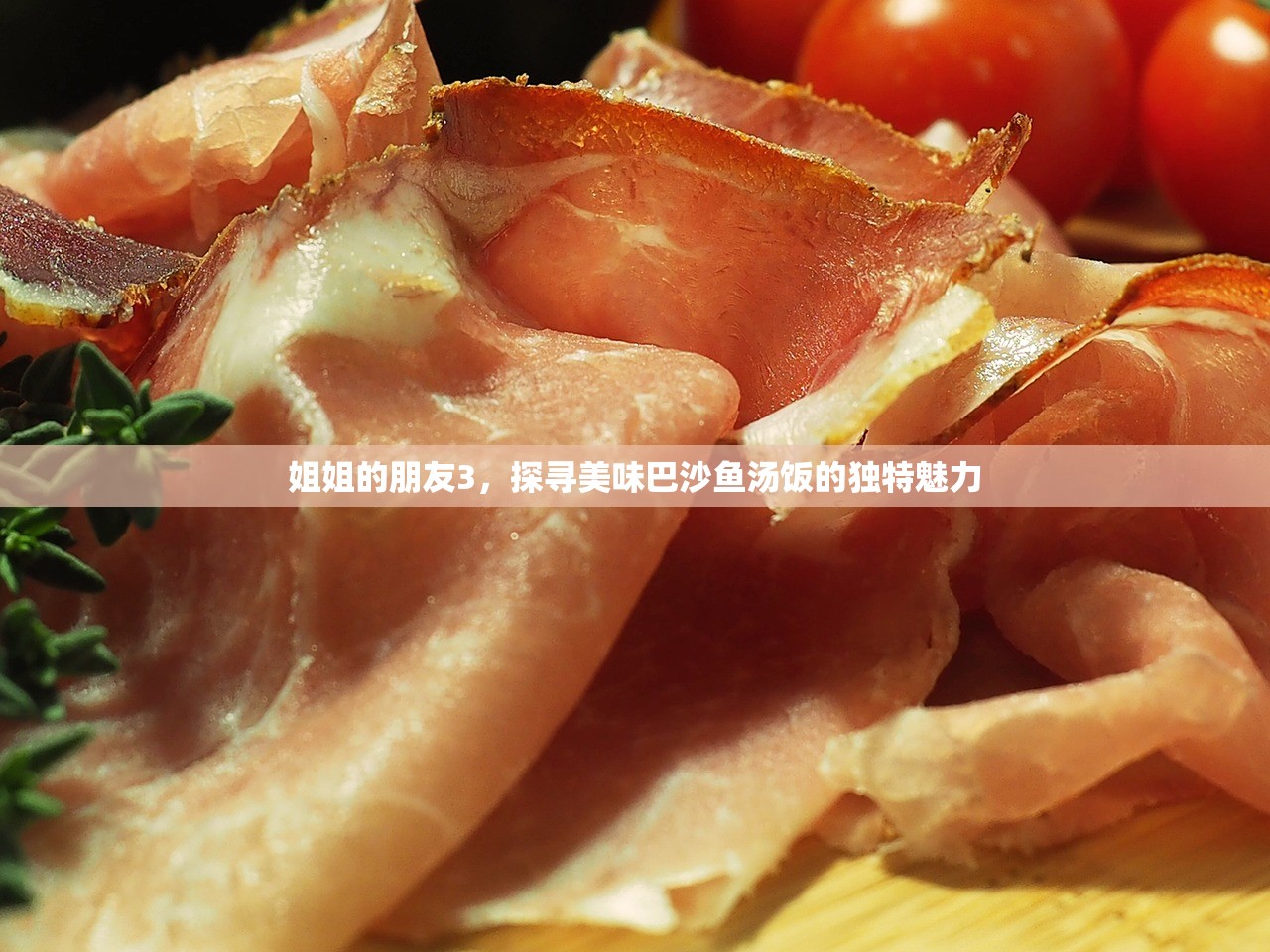 姐姐的朋友3，探寻美味巴沙鱼汤饭的独特魅力