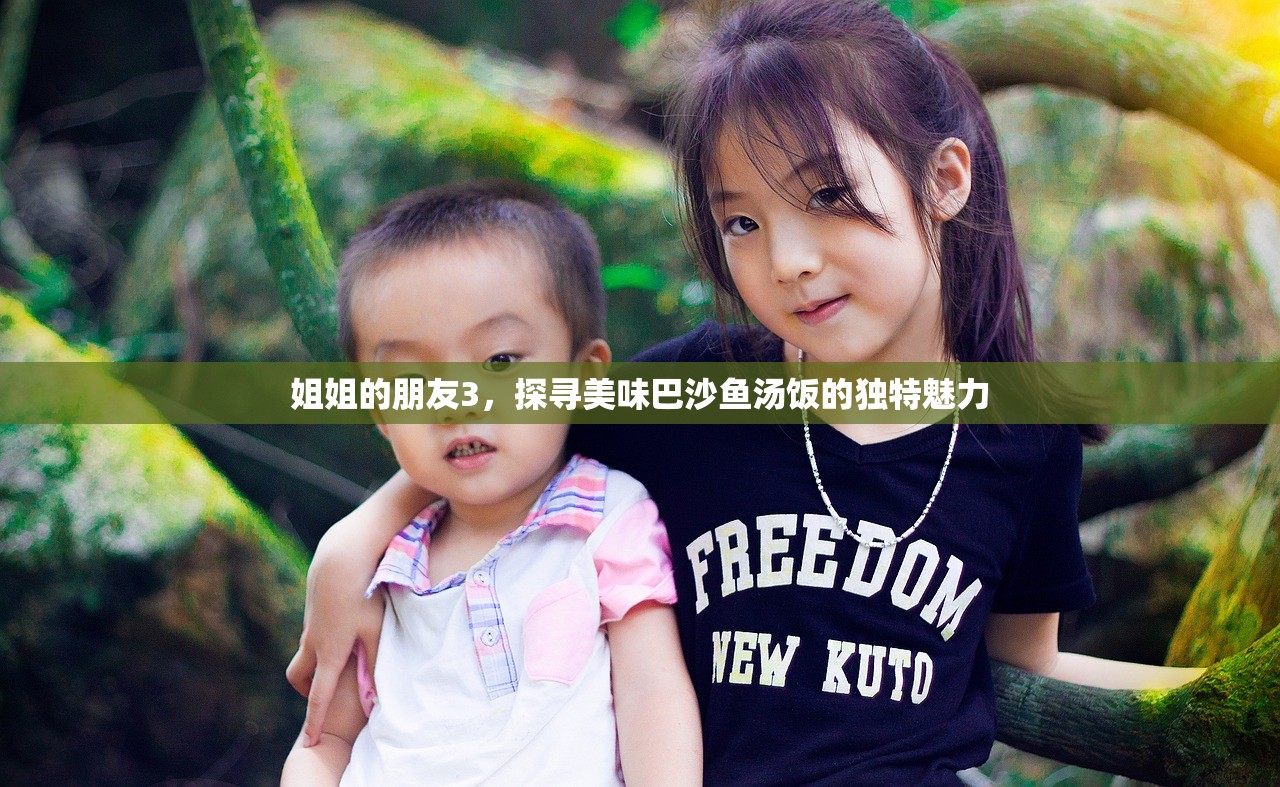 姐姐的朋友3，探寻美味巴沙鱼汤饭的独特魅力