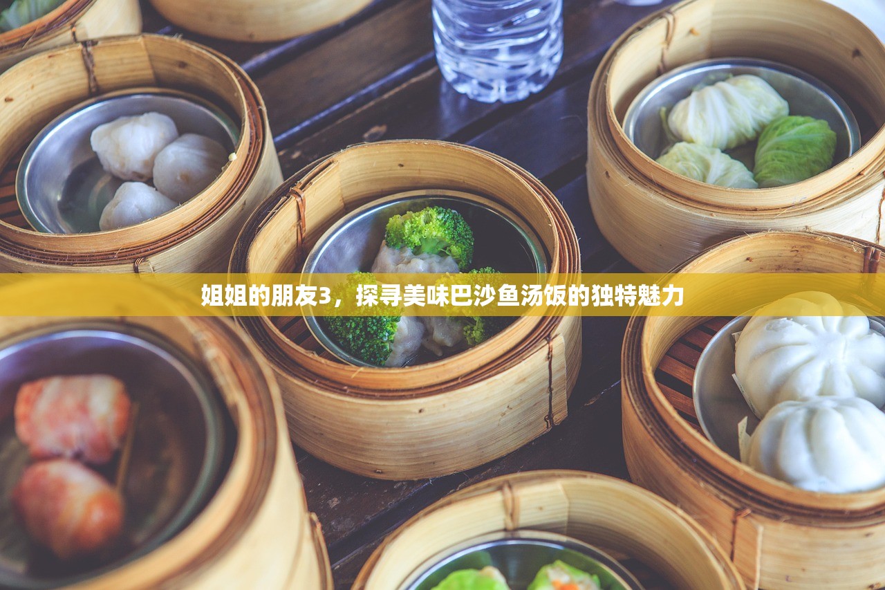 姐姐的朋友3，探寻美味巴沙鱼汤饭的独特魅力