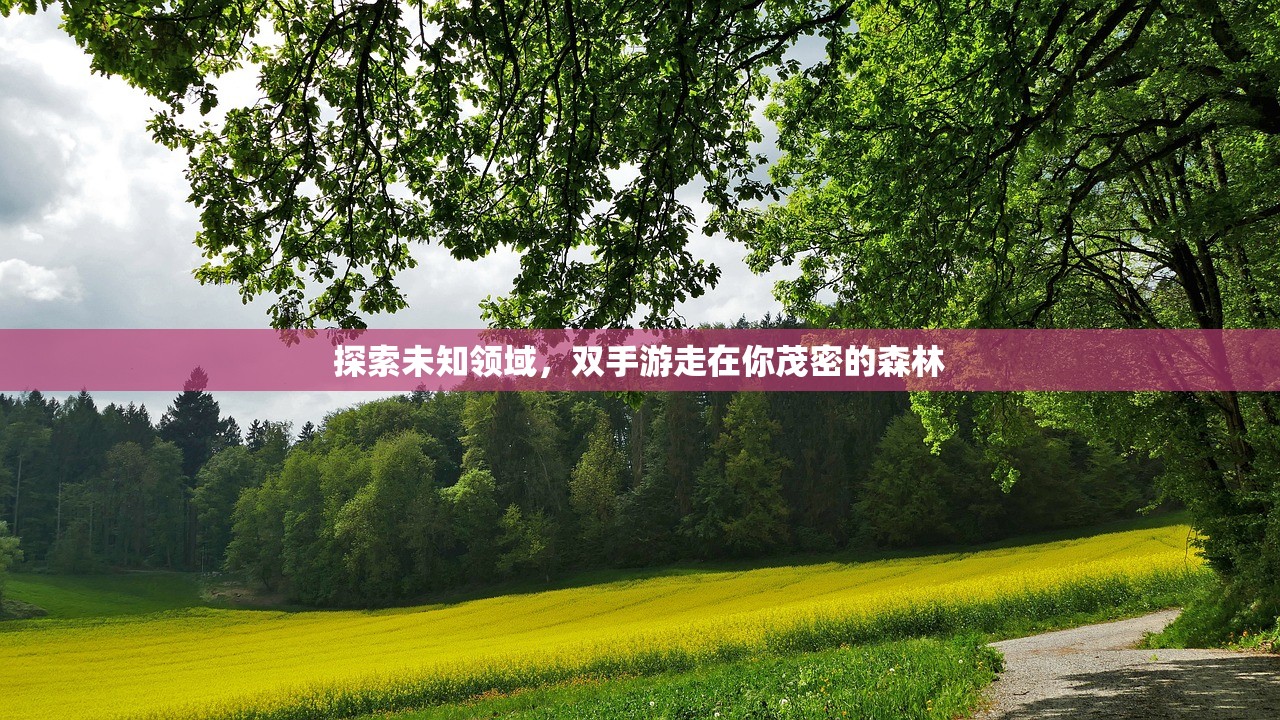 探索未知领域，双手游走在你茂密的森林