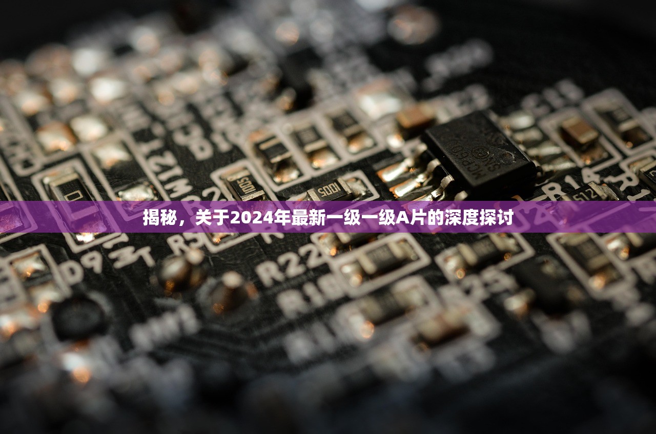 揭秘，关于2024年最新一级一级A片的深度探讨