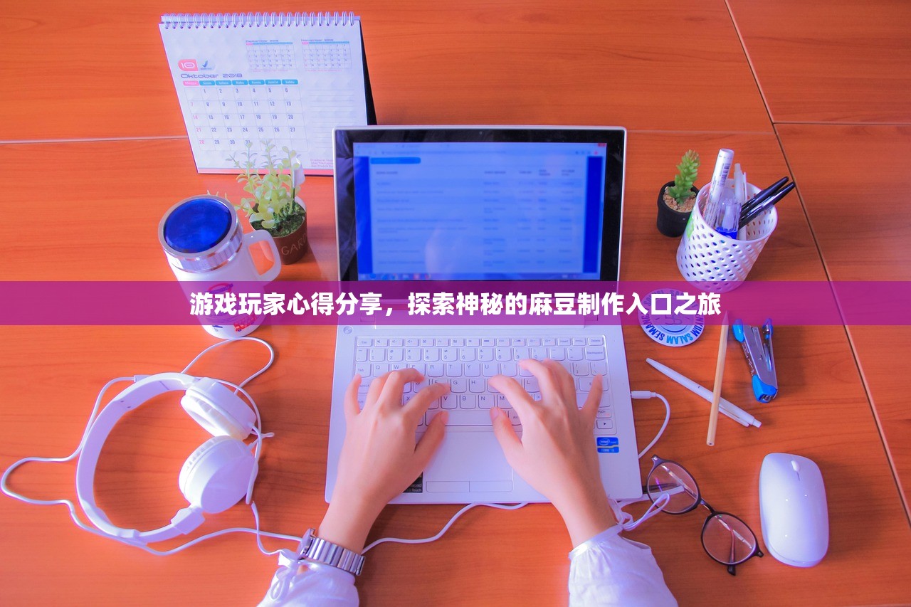 游戏玩家心得分享，探索神秘的麻豆制作入口之旅
