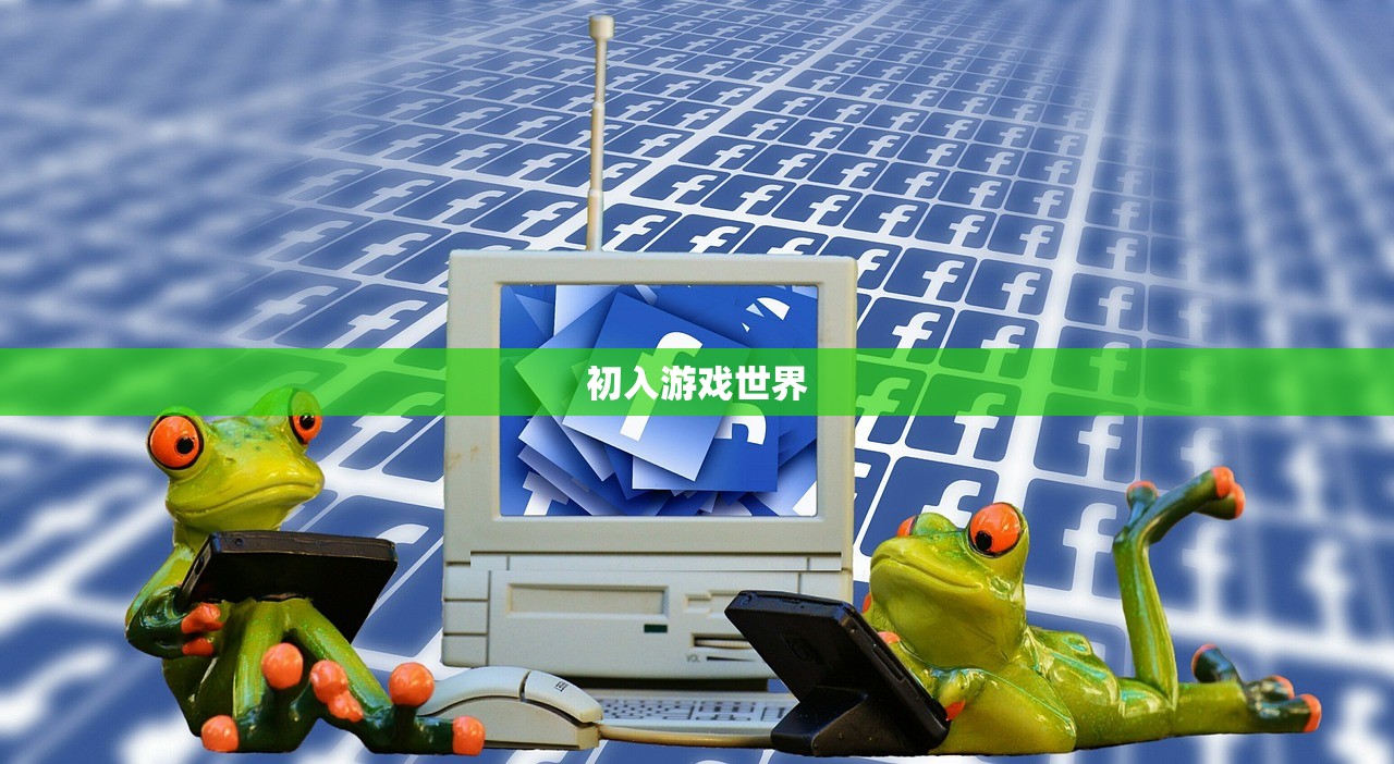 初入游戏世界