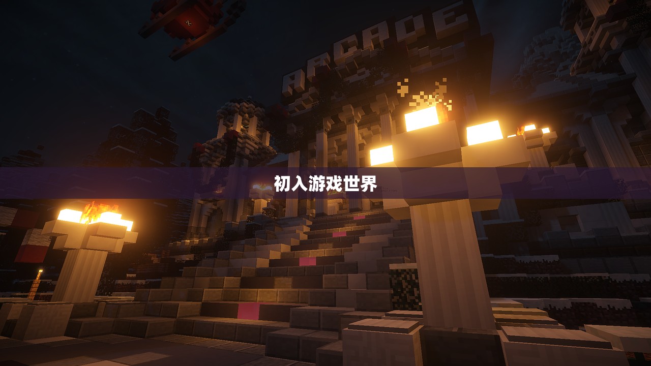 初入游戏世界