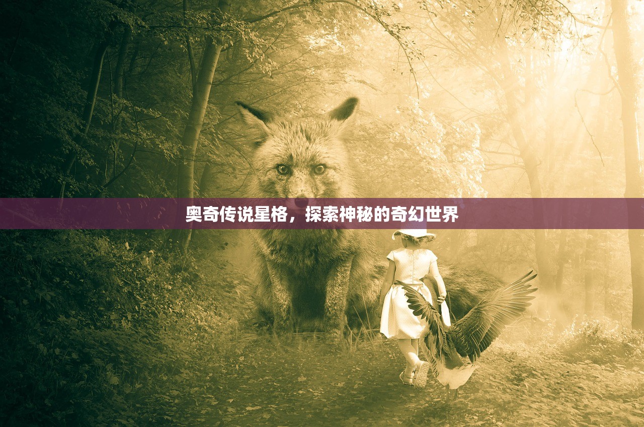 奥奇传说星格，探索神秘的奇幻世界