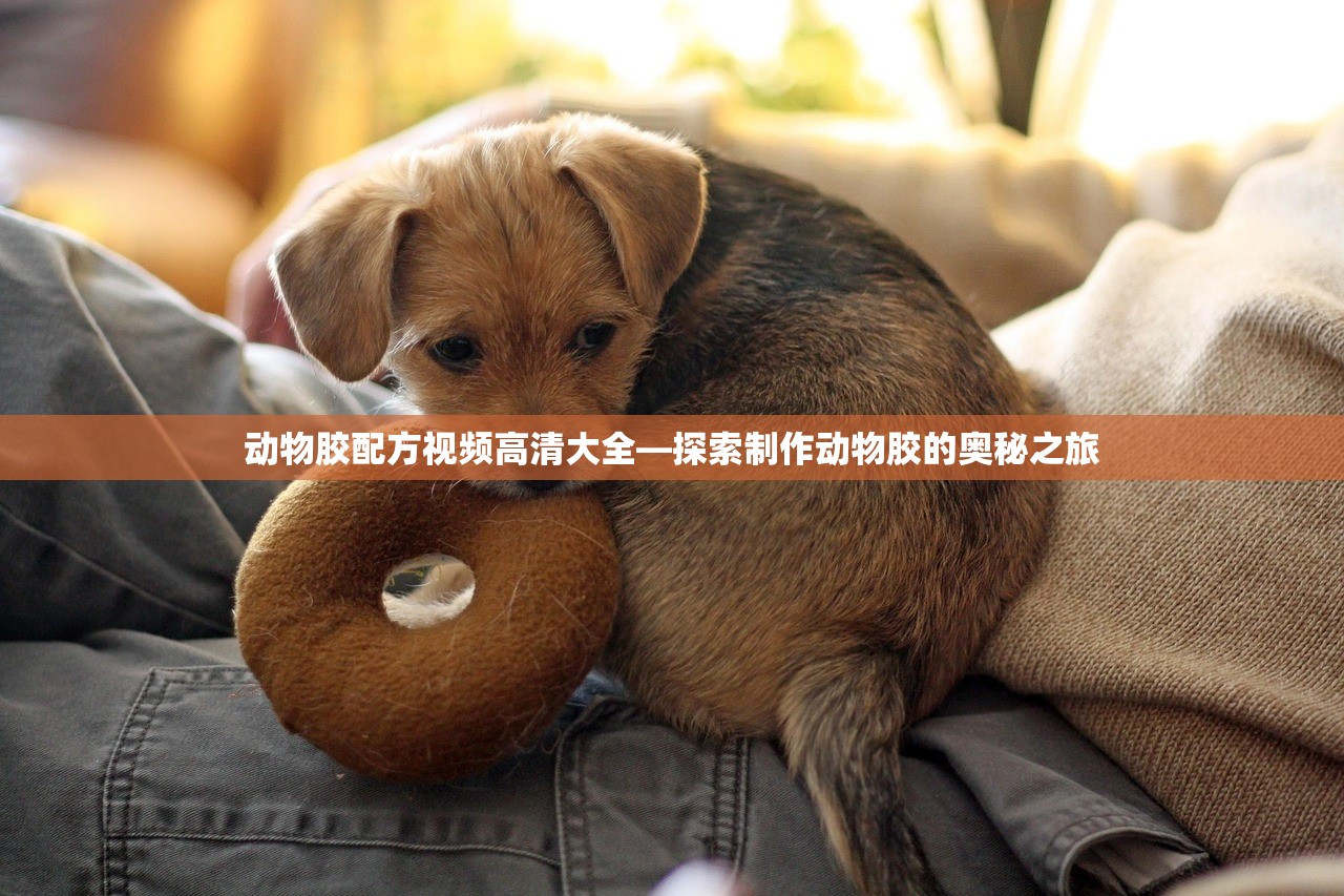 动物胶配方视频高清大全—探索制作动物胶的奥秘之旅