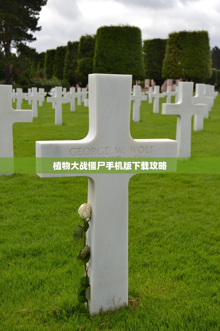 植物大战僵尸手机版下载攻略