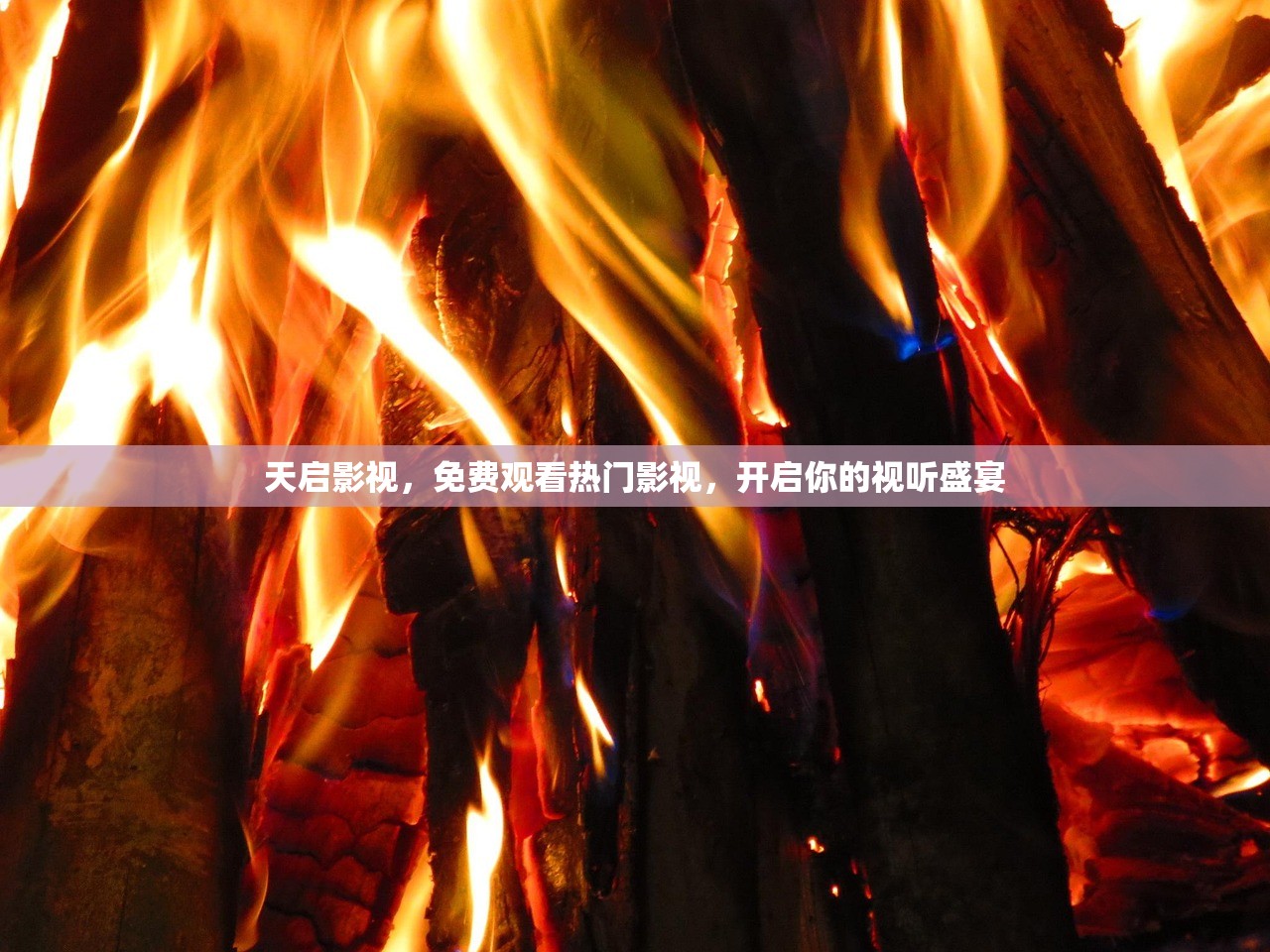 天启影视，免费观看热门影视，开启你的视听盛宴