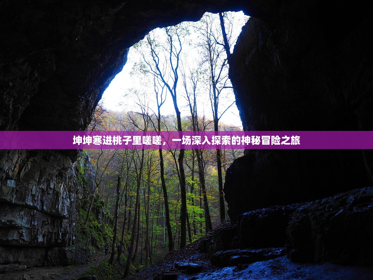 坤坤寒进桃子里嗟嗟，一场深入探索的神秘冒险之旅