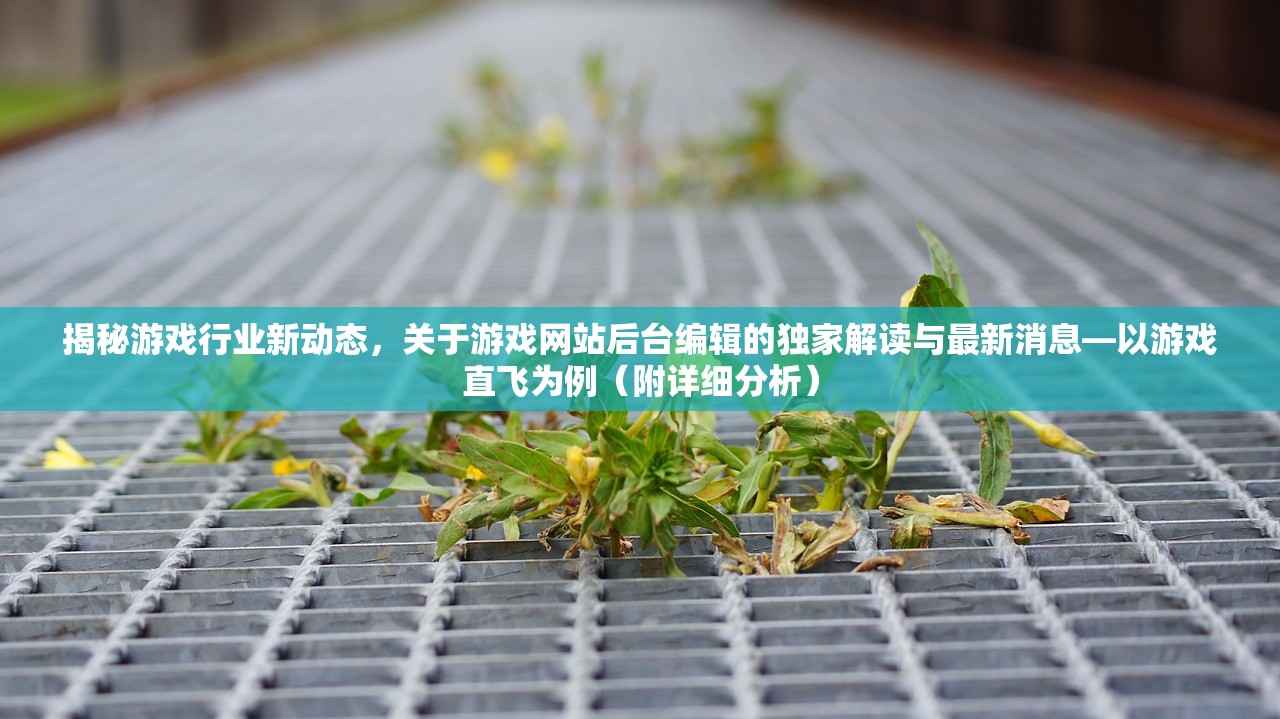 揭秘游戏行业新动态，关于游戏网站后台编辑的独家解读与最新消息—以游戏直飞为例（附详细分析）