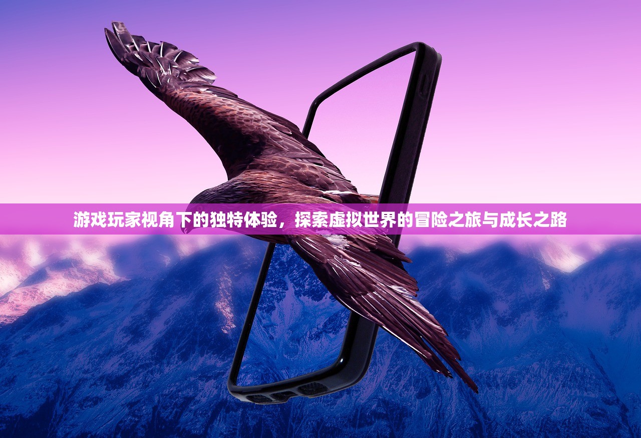 游戏玩家视角下的独特体验，探索虚拟世界的冒险之旅与成长之路