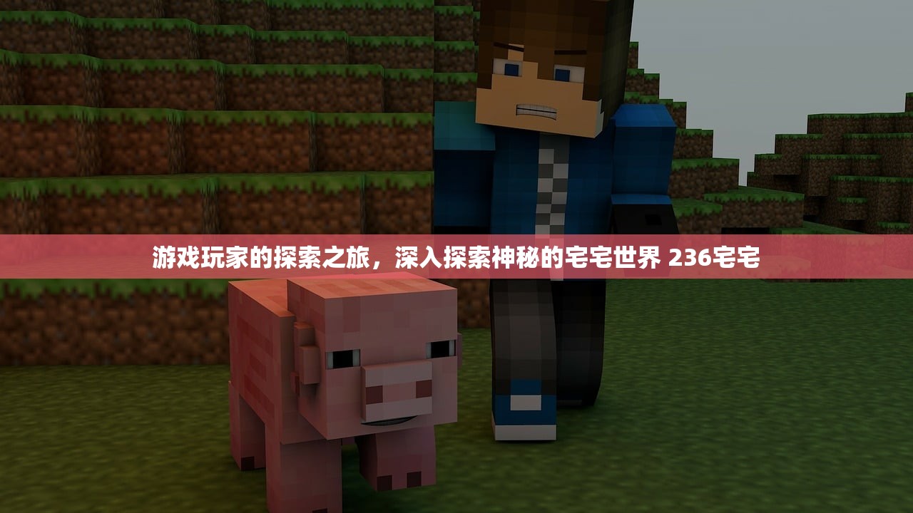 游戏玩家的探索之旅，深入探索神秘的宅宅世界 236宅宅