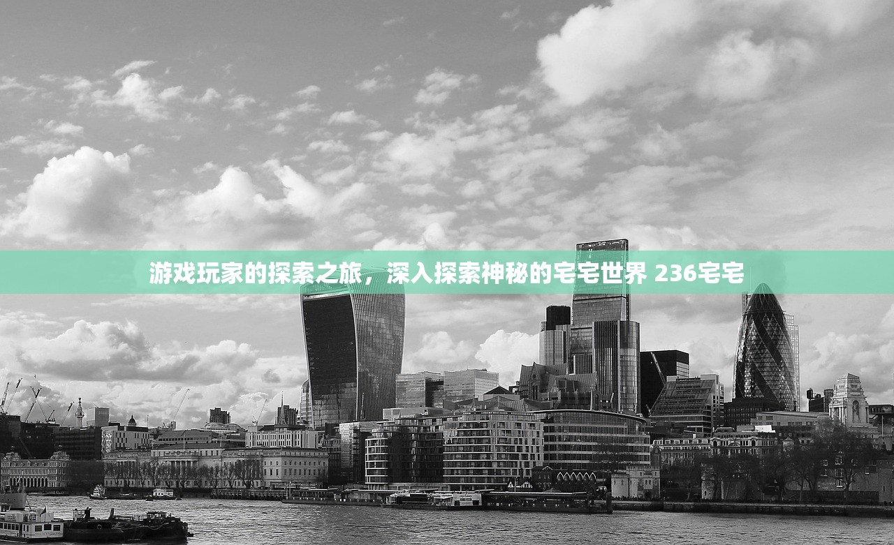 游戏玩家的探索之旅，深入探索神秘的宅宅世界 236宅宅