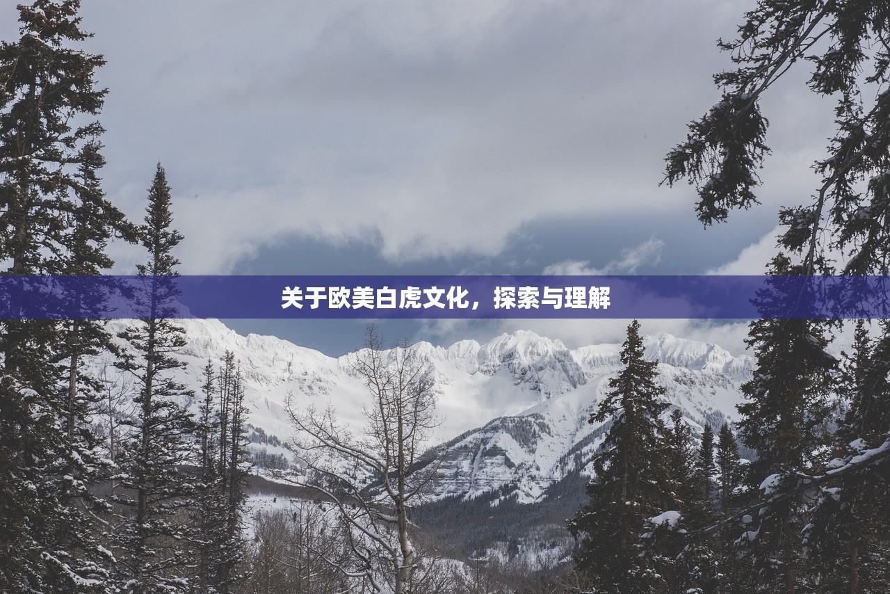 关于欧美白虎文化，探索与理解