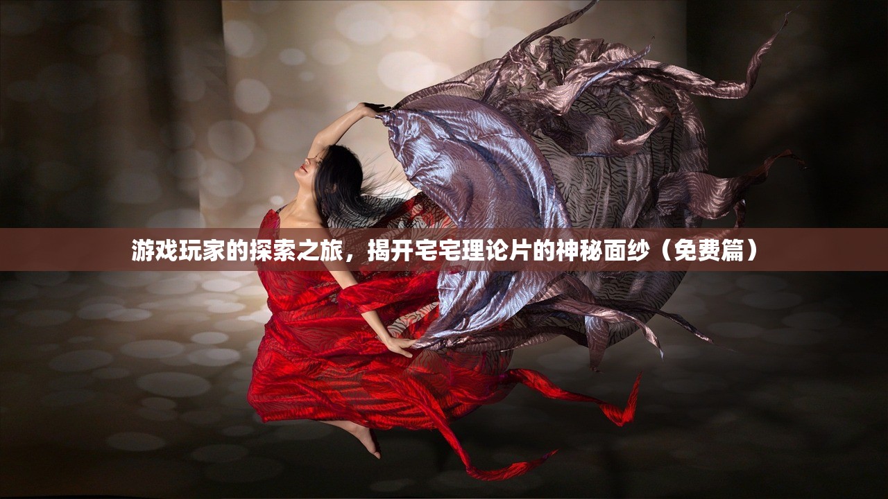 游戏玩家的探索之旅，揭开宅宅理论片的神秘面纱（免费篇）