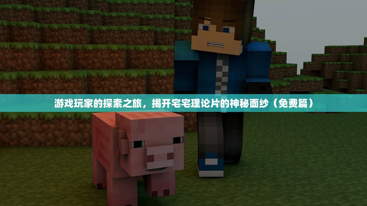 游戏玩家的探索之旅，揭开宅宅理论片的神秘面纱（免费篇）