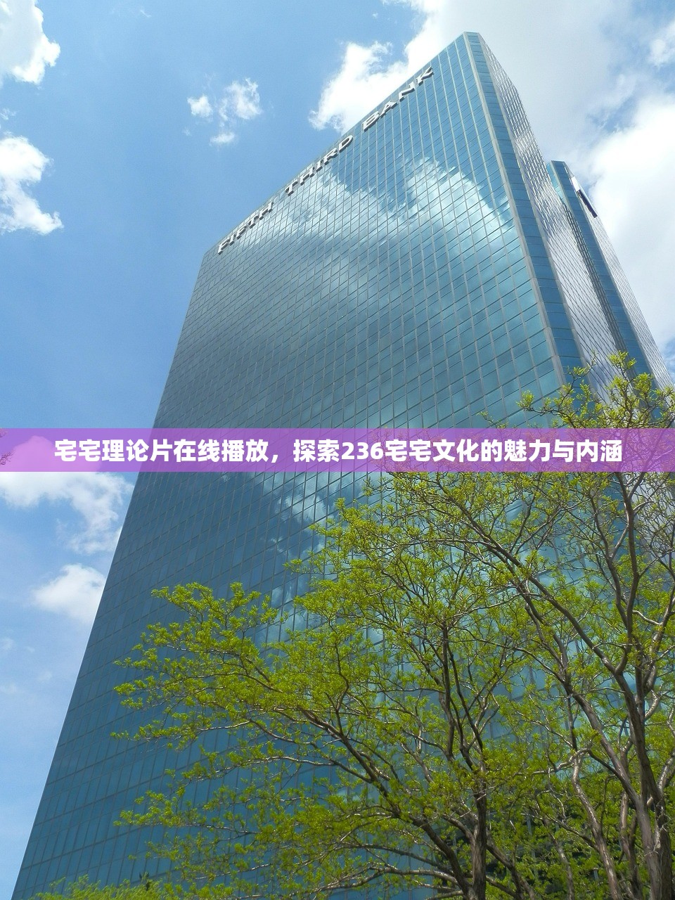宅宅理论片在线播放，探索236宅宅文化的魅力与内涵