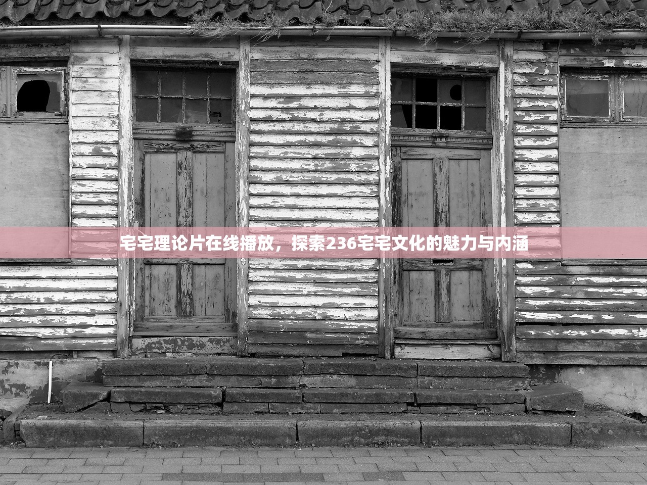 宅宅理论片在线播放，探索236宅宅文化的魅力与内涵