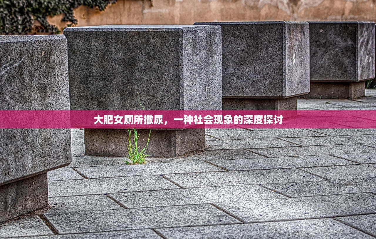 大肥女厕所撒尿，一种社会现象的深度探讨