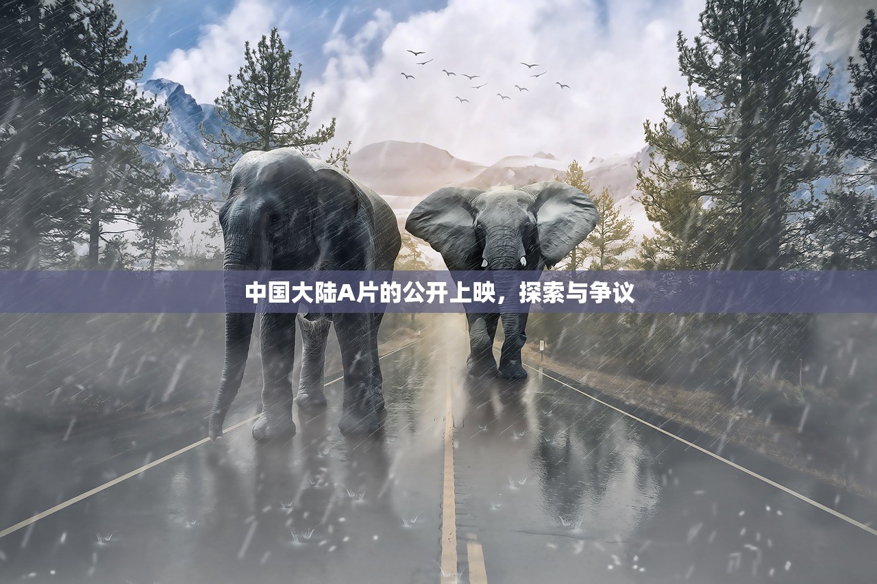 中国大陆A片的公开上映，探索与争议