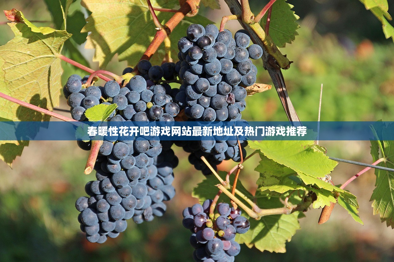 春暖性花开吧游戏网站最新地址及热门游戏推荐