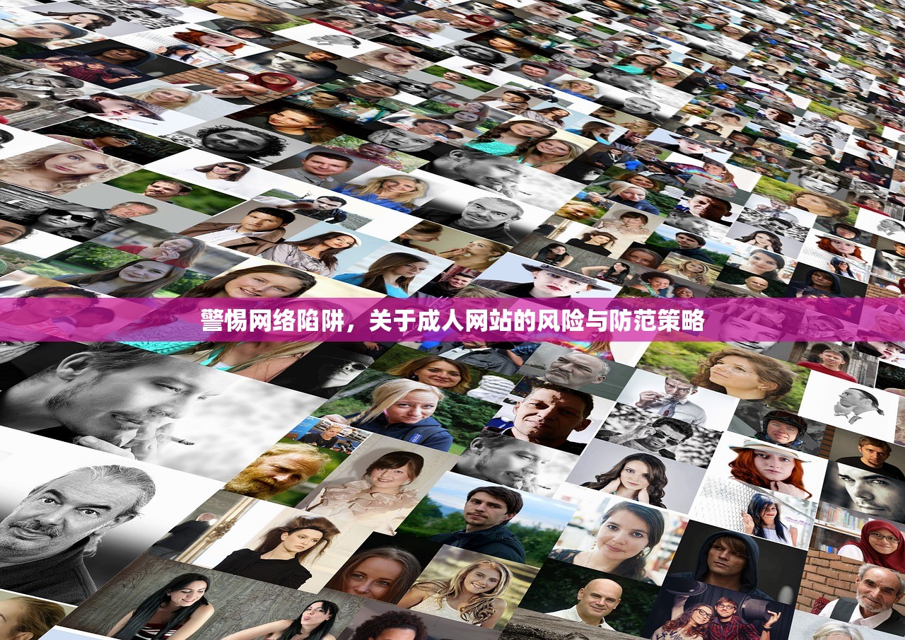 警惕网络陷阱，关于成人网站的风险与防范策略