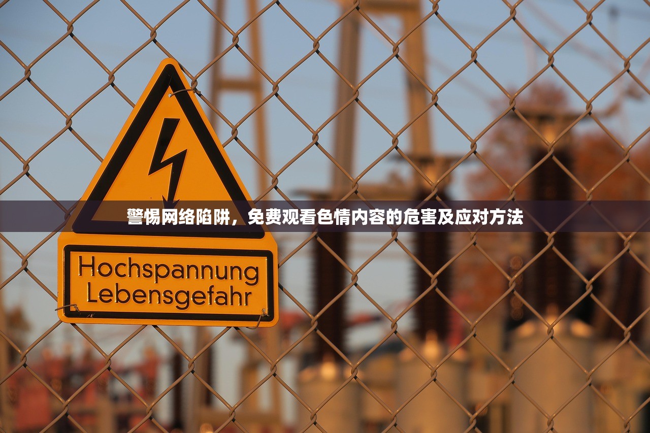 警惕网络陷阱，免费观看色情内容的危害及应对方法