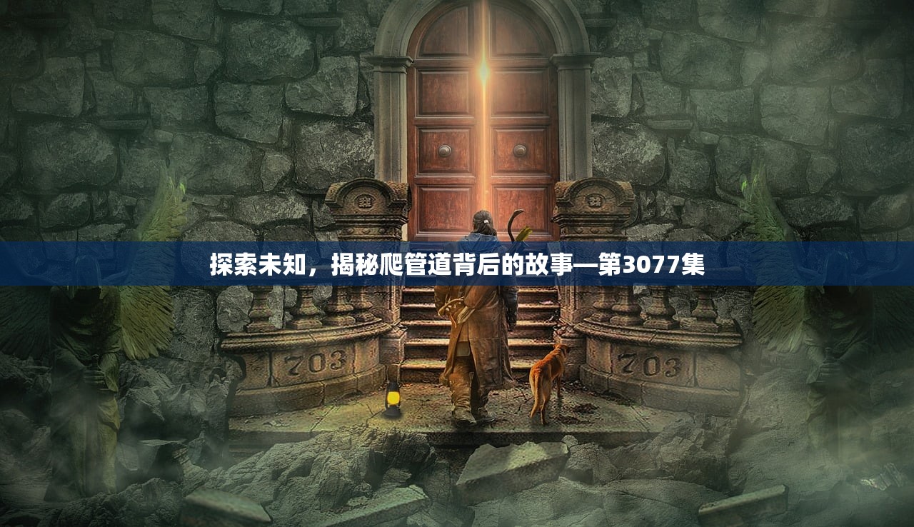 探索未知，揭秘爬管道背后的故事—第3077集