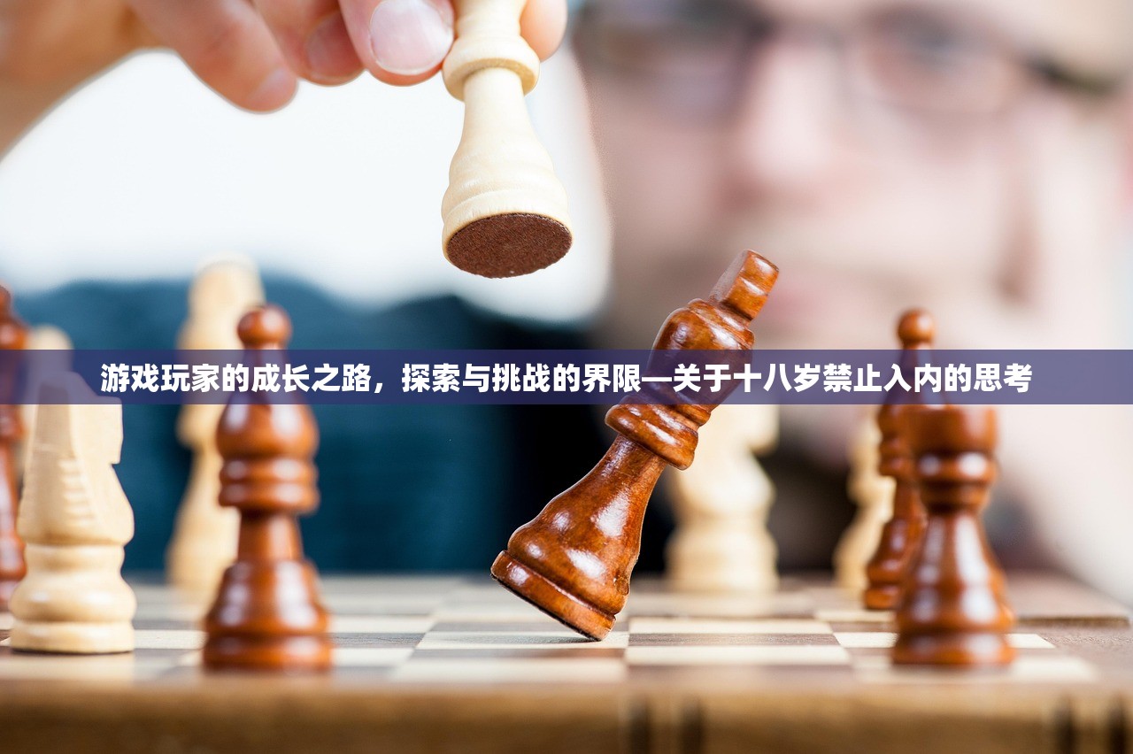 游戏玩家的成长之路，探索与挑战的界限—关于十八岁禁止入内的思考