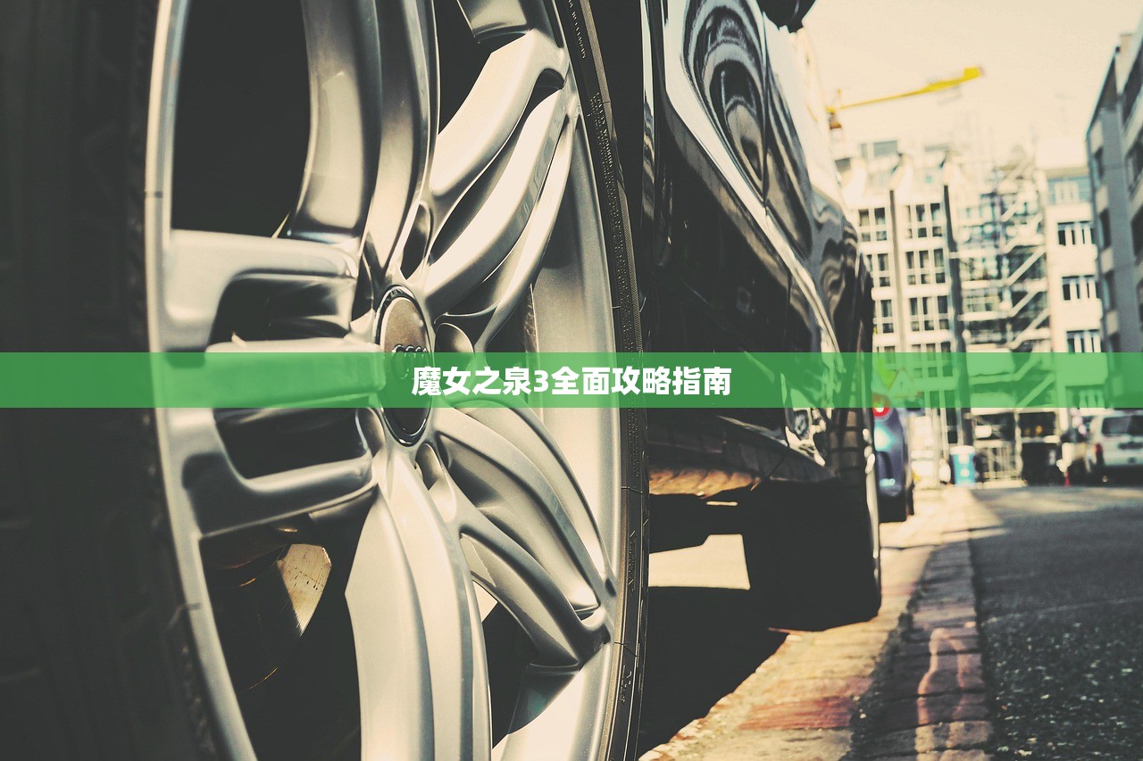 魔女之泉3全面攻略指南