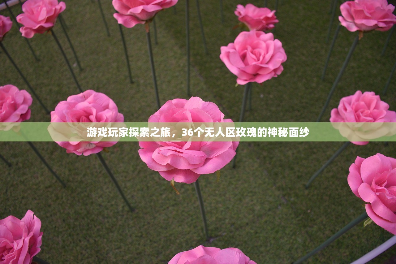 游戏玩家探索之旅，36个无人区玫瑰的神秘面纱