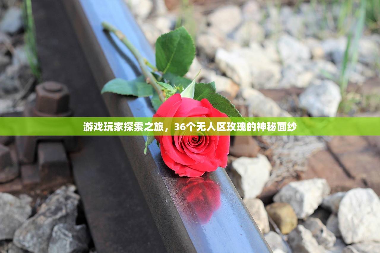 游戏玩家探索之旅，36个无人区玫瑰的神秘面纱