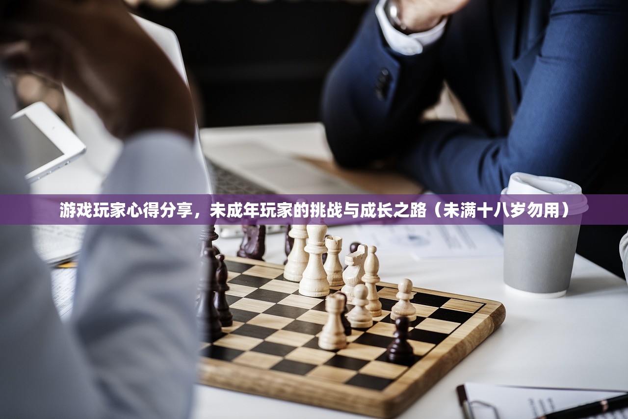 游戏玩家心得分享，未成年玩家的挑战与成长之路（未满十八岁勿用）