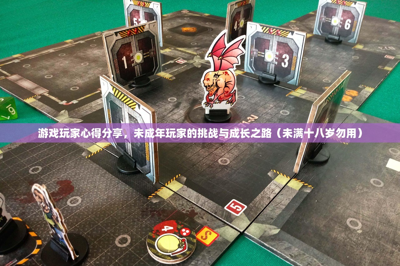 游戏玩家心得分享，未成年玩家的挑战与成长之路（未满十八岁勿用）