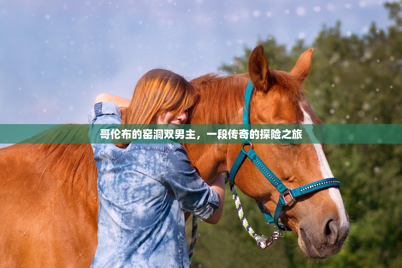 哥伦布的窑洞双男主，一段传奇的探险之旅