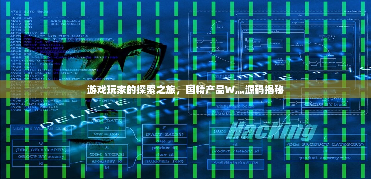 游戏玩家的探索之旅，国精产品W灬源码揭秘