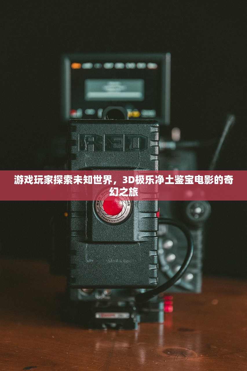 游戏玩家探索未知世界，3D极乐净土鉴宝电影的奇幻之旅