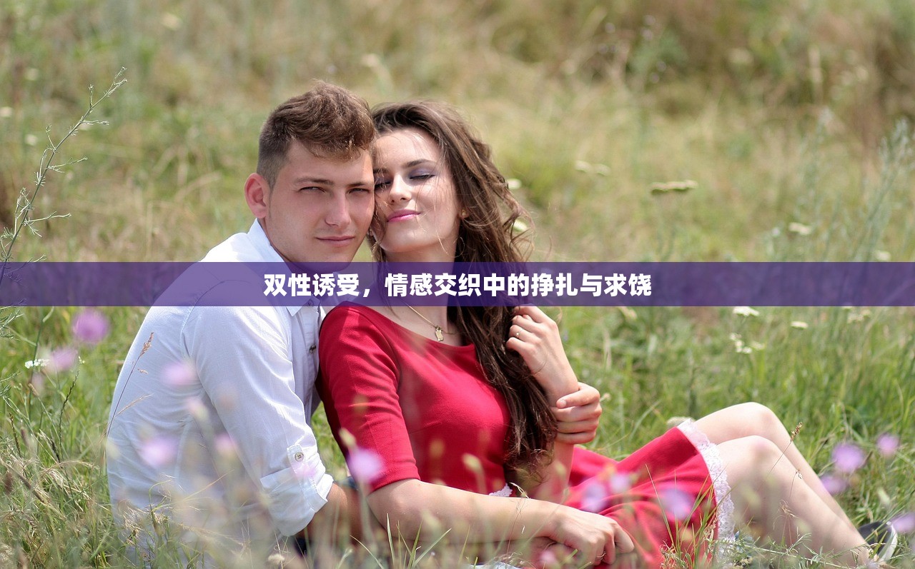 双性诱受，情感交织中的挣扎与求饶