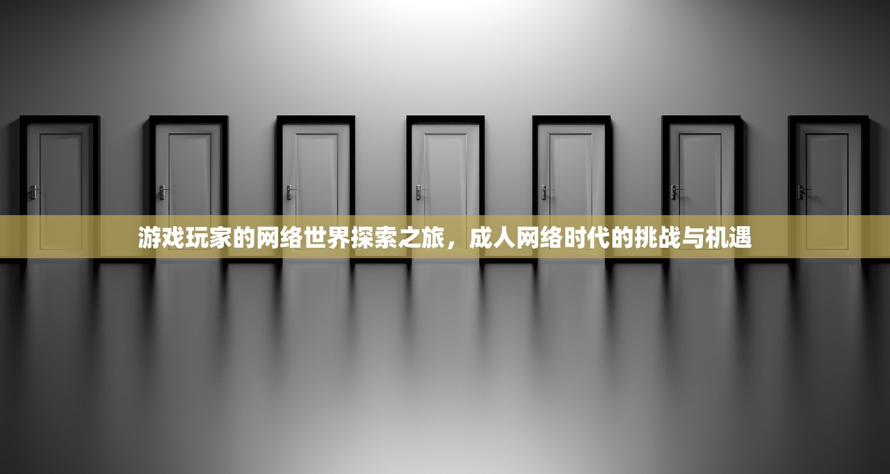游戏玩家的网络世界探索之旅，成人网络时代的挑战与机遇