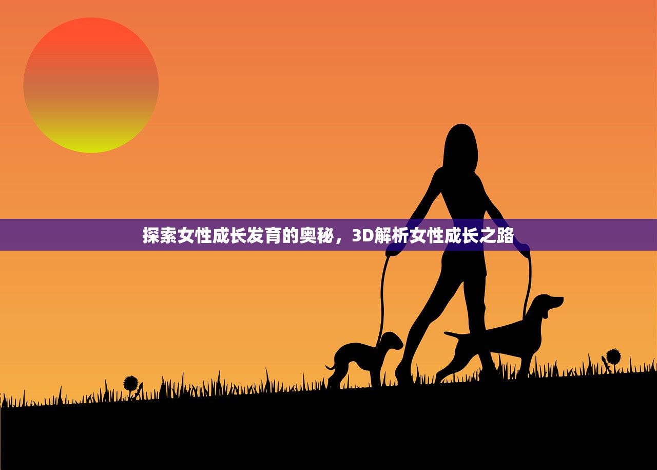 探索女性成长发育的奥秘，3D解析女性成长之路