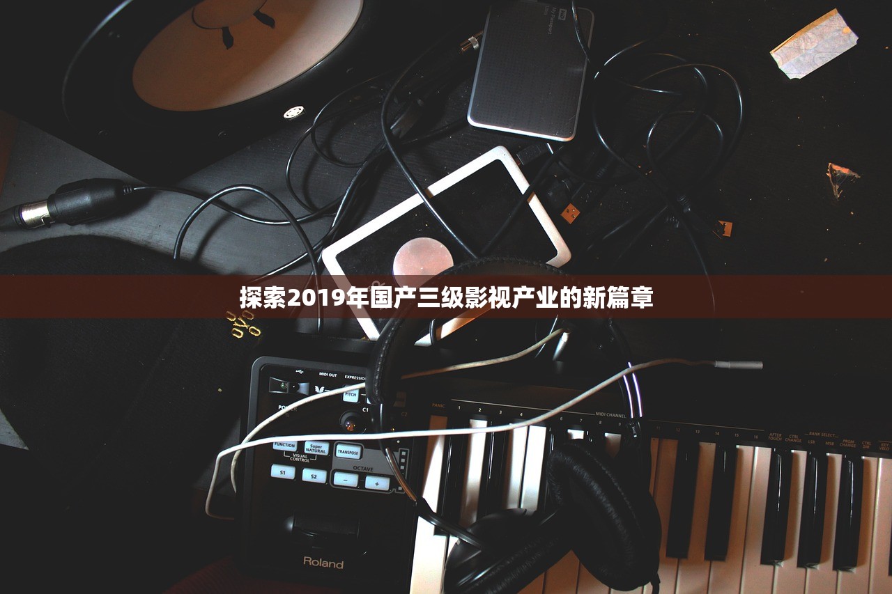 探索2019年国产三级影视产业的新篇章