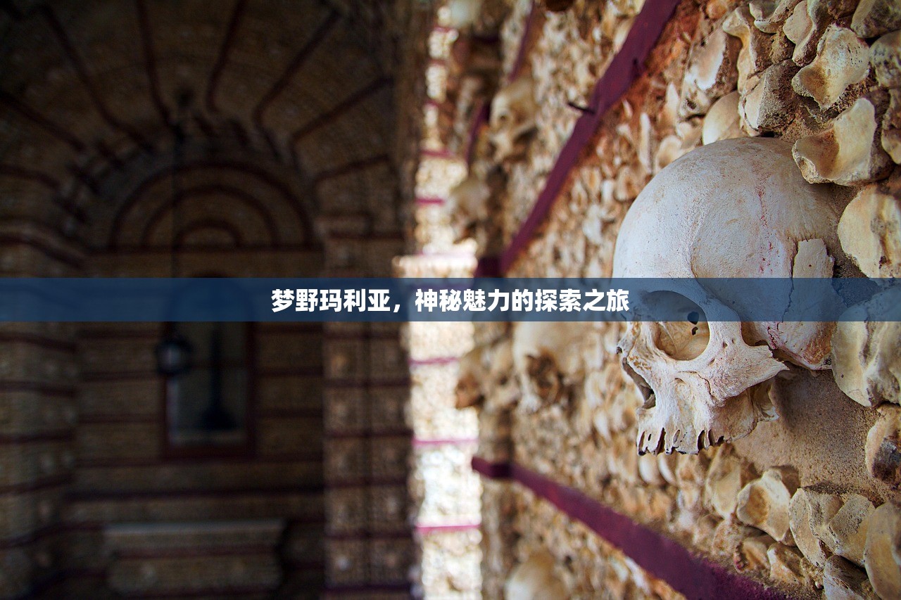 梦野玛利亚，神秘魅力的探索之旅