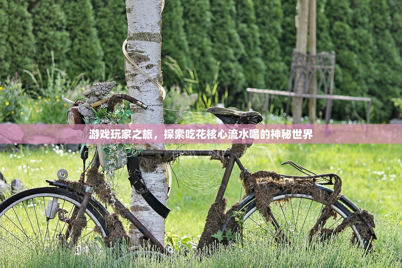 游戏玩家之旅，探索吃花核心流水喝的神秘世界
